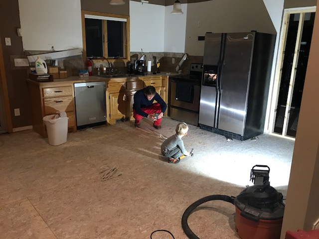 Living through a Kitchen Remodel 3