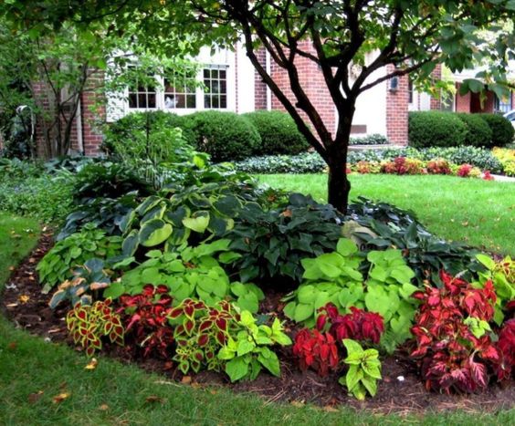 6 DIY Landscaping Ideas to Update Your Property on Your Own