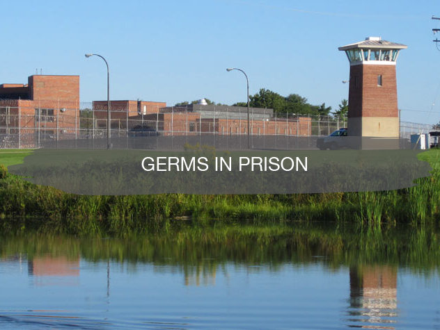 Germs in Prison | Noah Bergland | construction2style