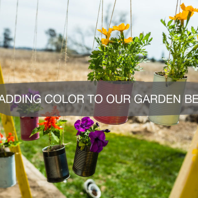 Adding Color to Our Garden Bed with Krylon 31