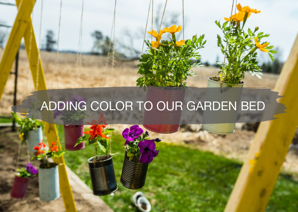 Adding Color to Our Garden Bed with Krylon 1