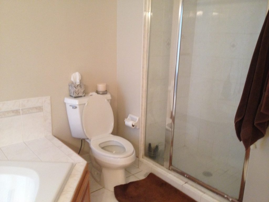 Wexford Heights Master Bathroom | Before & After 15