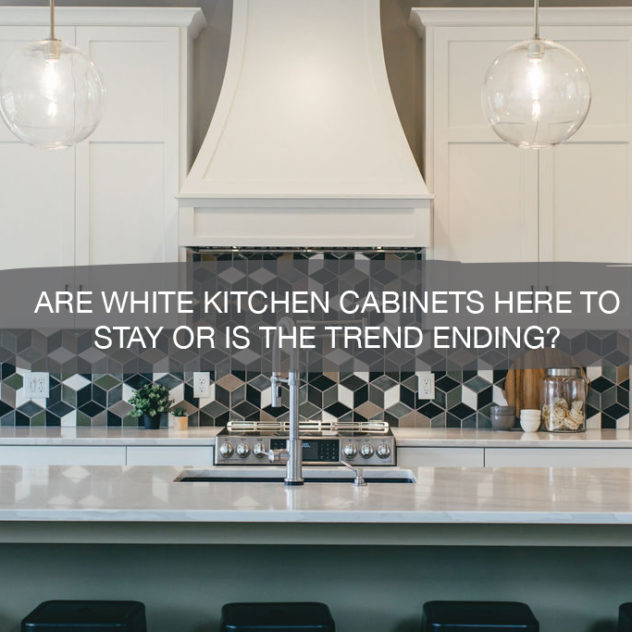 Always Trendy Pristine White Kitchen Cabinets 9