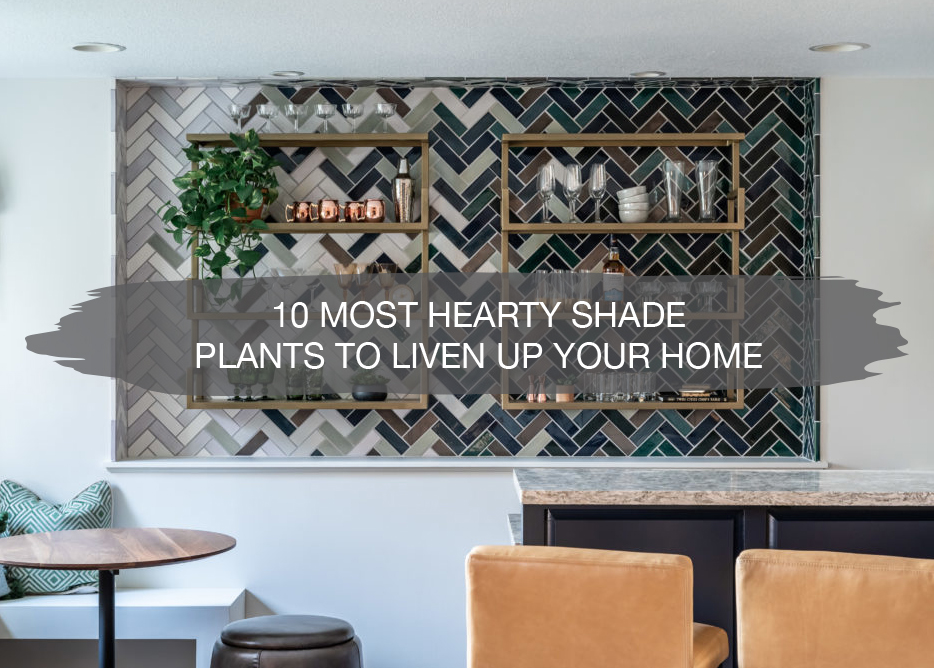 10 Most Hearty Shade Plants To Liven Up Your Home | construction2style
