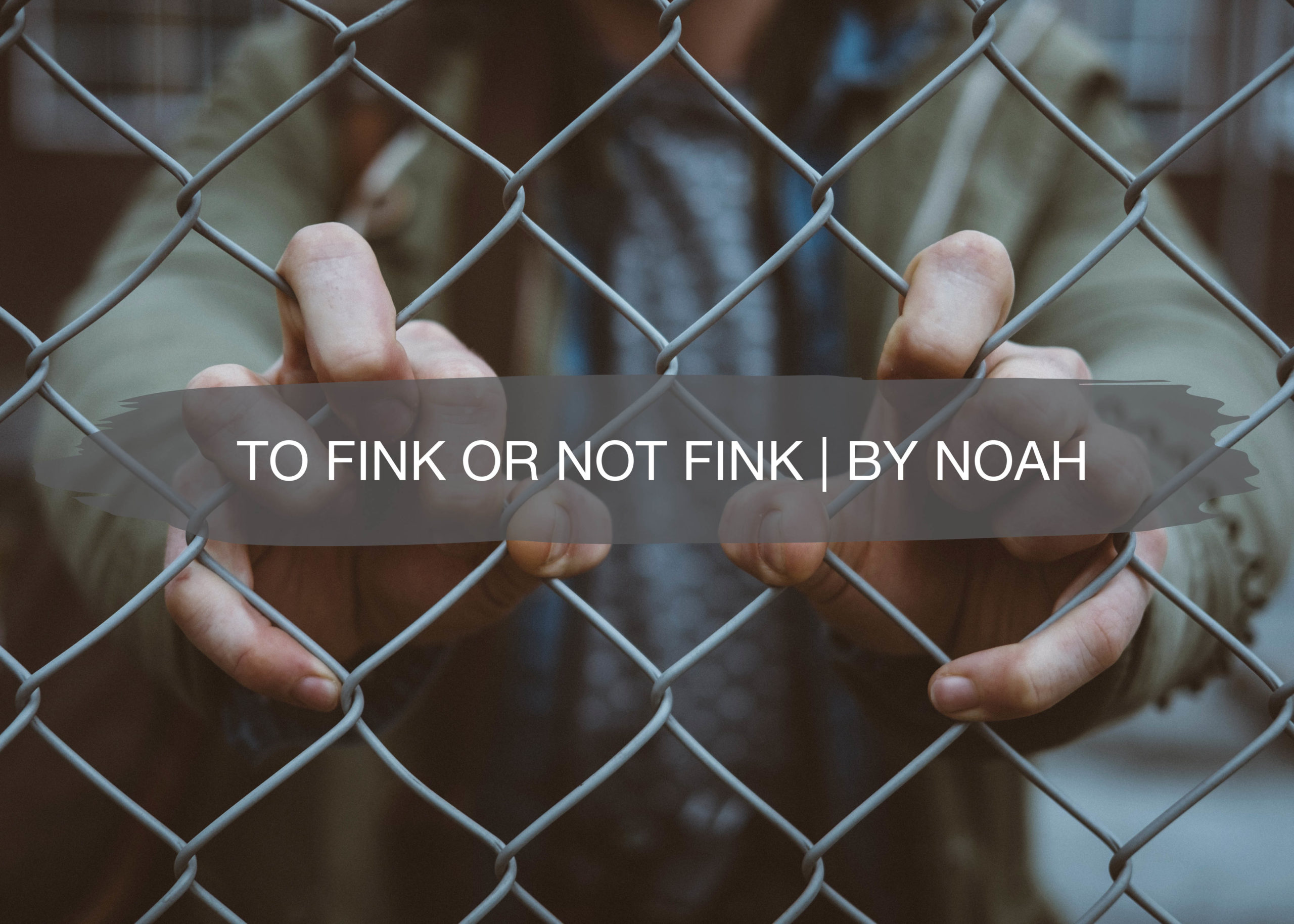 To Fink or Not Fink | By Noah 1