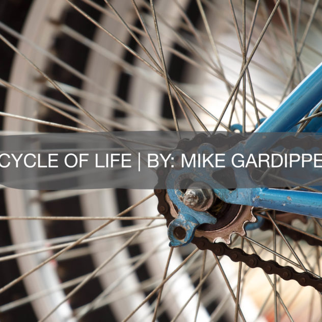 Cycle of Life | By: Mike Gardippee 20