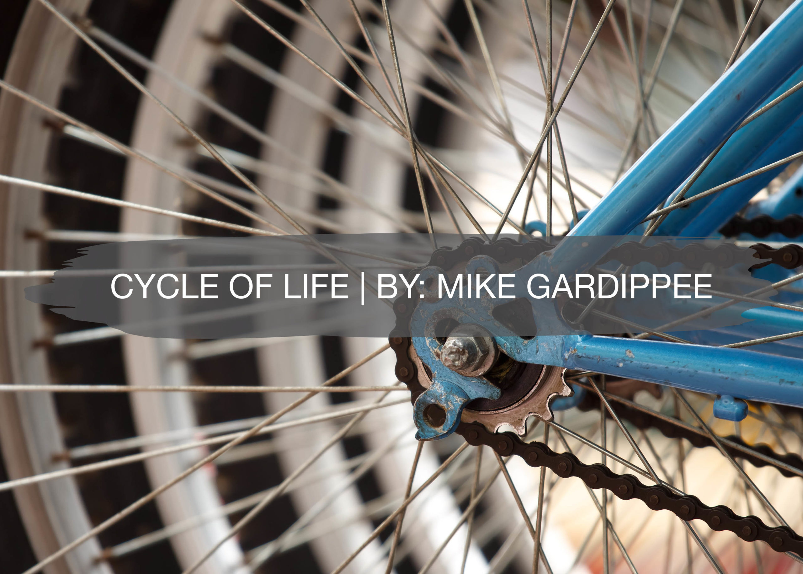 Cycle of Life | By: Mike Gardippee 1