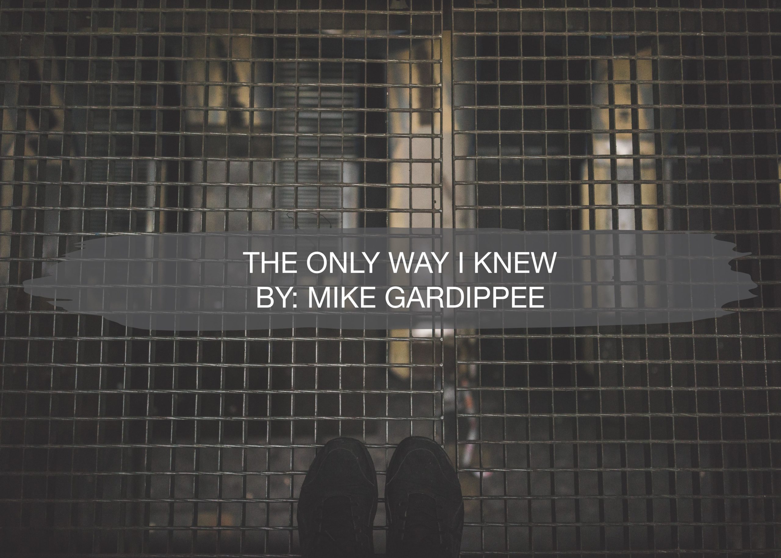 The Only Way I Knew | By: Mike Gardippee 1