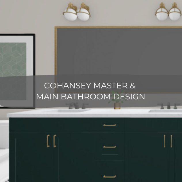 Cohansey Master & Main Bathroom Design 24