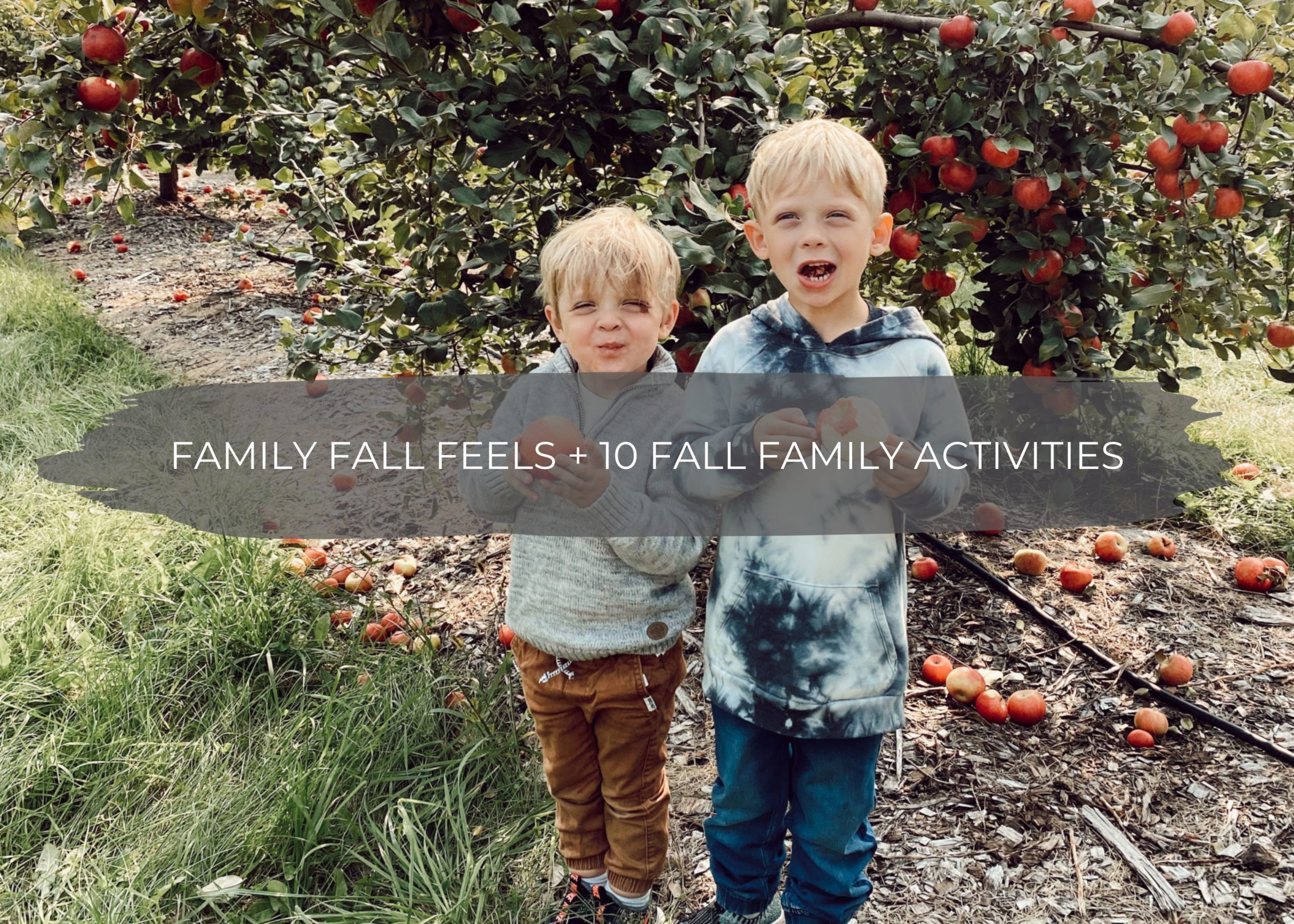 Family Fall Feels