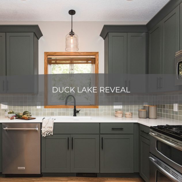Duck Lake Main Level Reveal