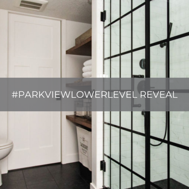 Parkview Lower Level Reveal