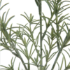 The Rosemary Faux Stem 3