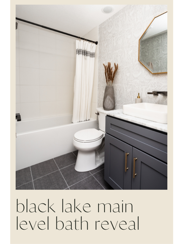 Black Lake Reveal | Main Level Bathroom 13