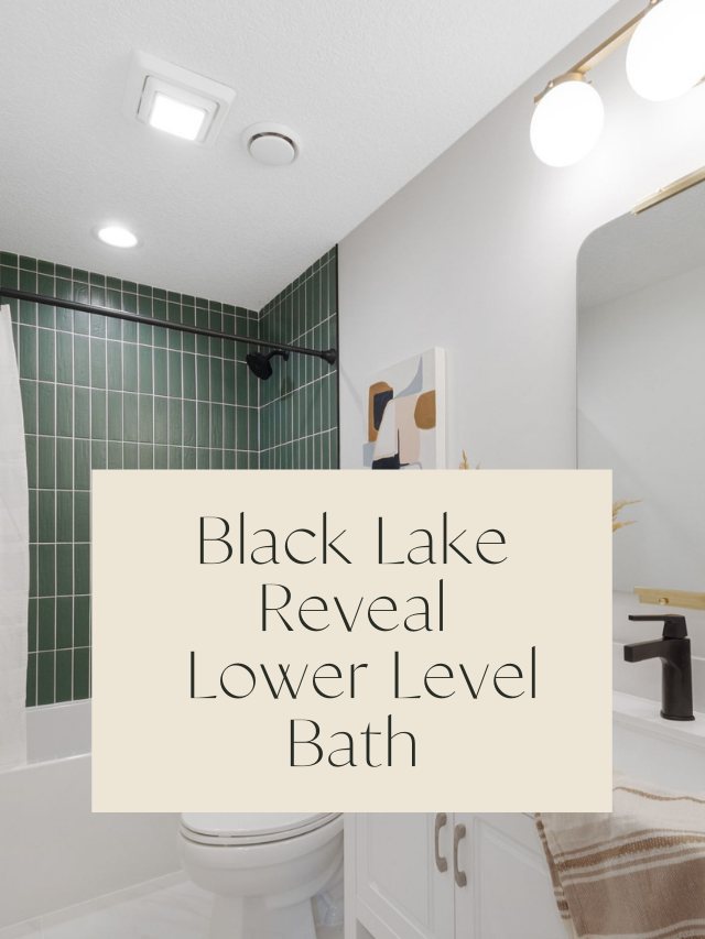 Black Lake Reveal | Lower Level Bathroom 13