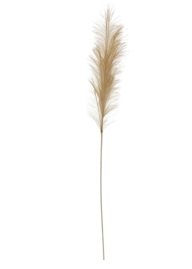 The Wheat Faux Pampas 1