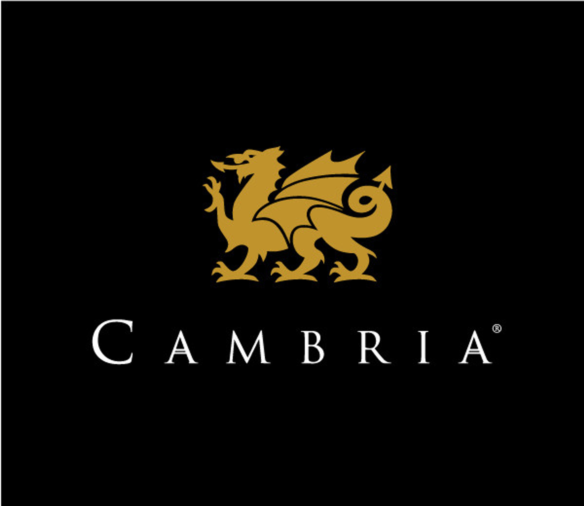 Cambria | Bizcom 2021 Sponsor | construction2style