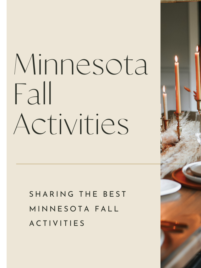 Minnesota Fall Activities Construction2style