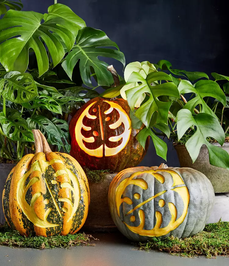 10 Most Extreme Pumpkin Carving Stencils - Try if You Dare! 2