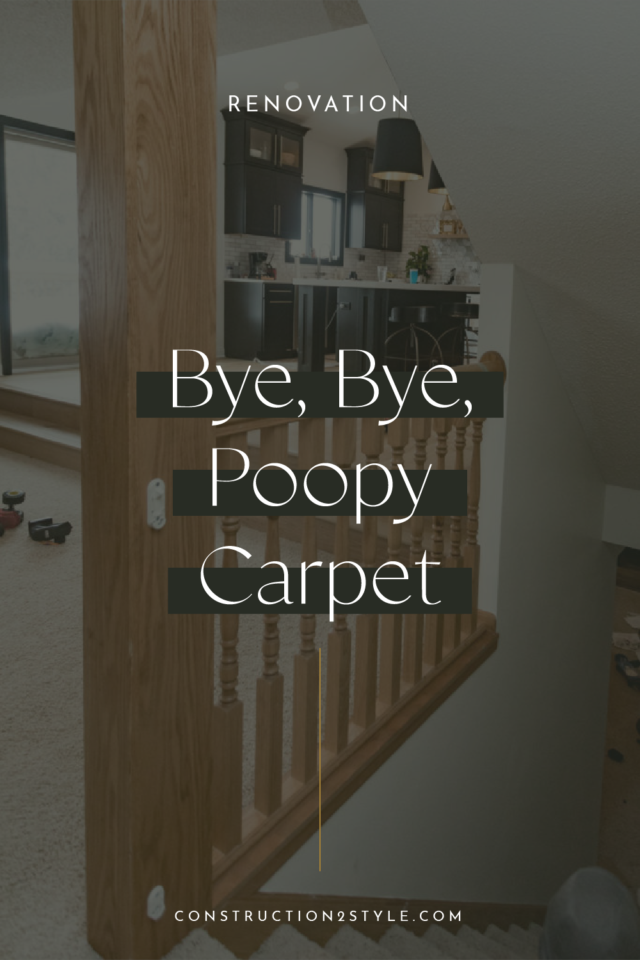 Bye, bye, bye Poopy Carpet 8