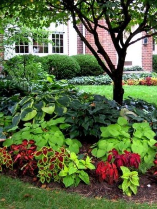 6 DIY Landscaping Ideas to Update Your Property On Your Own