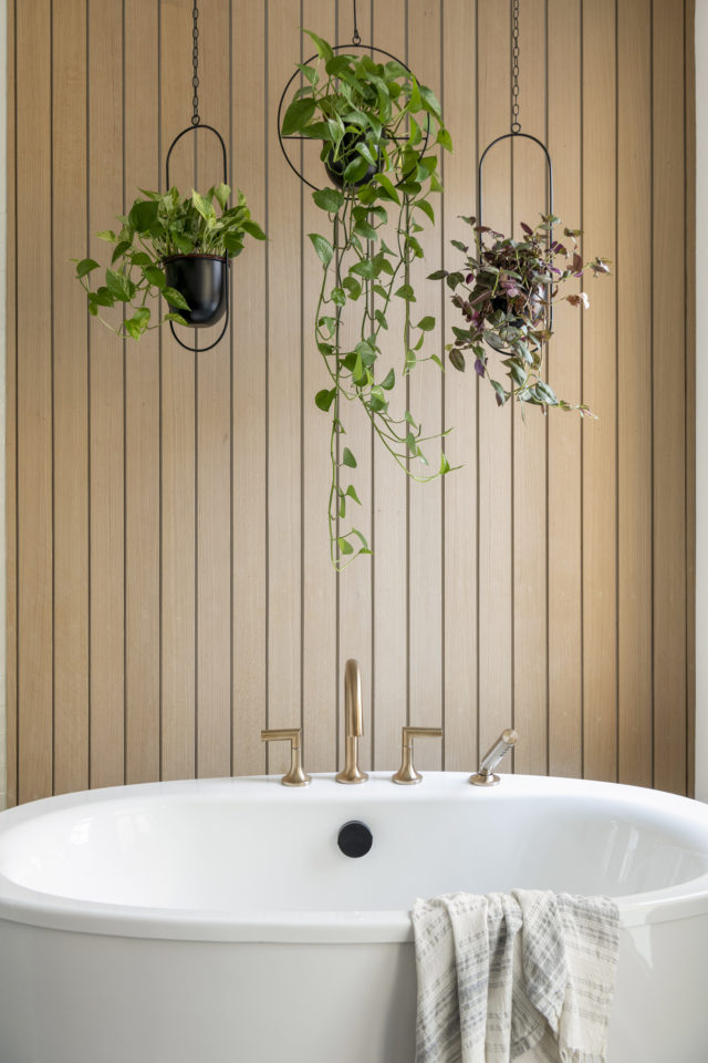 Hanging plants bathroom ideas | construction2style
