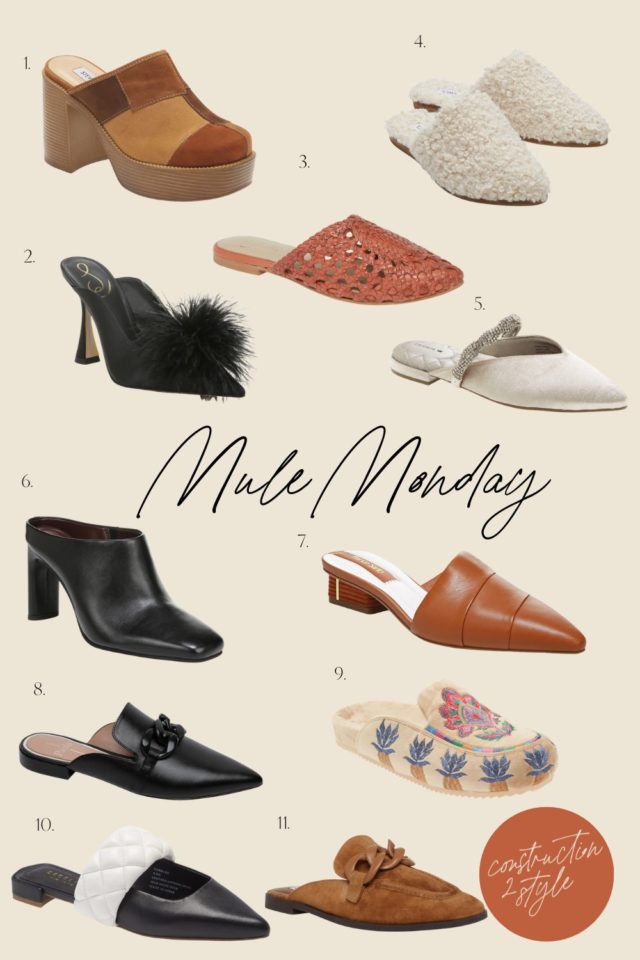 mule fashion shoe