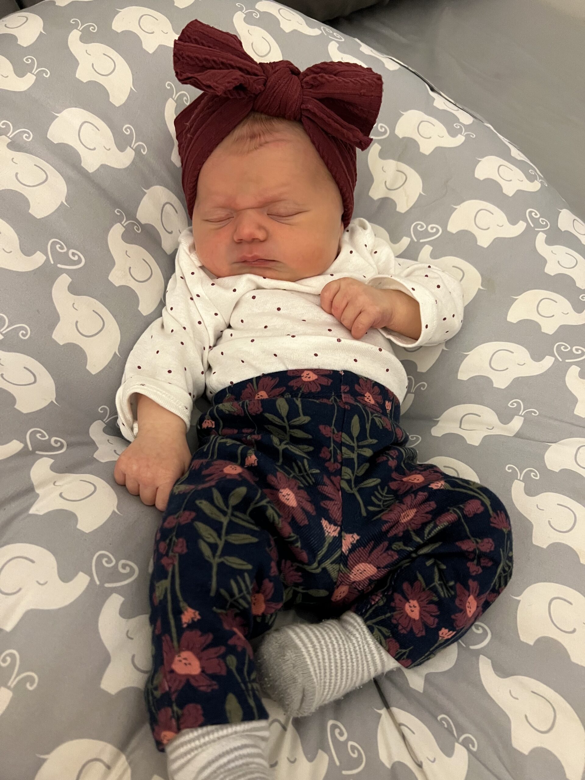Solange birth story, she is at her home in Minneapolis, days after birth, laying on her comfy cushion taking a snooze 