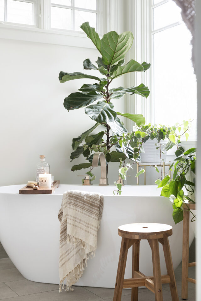 a bathtub with a plant in the background