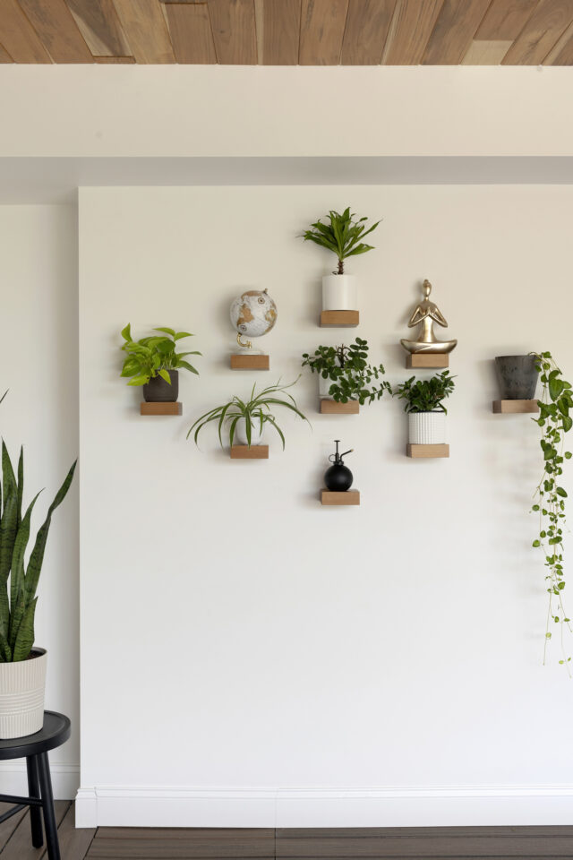 shelfology shelves holding 6 different plants at a custom home designed by construction2style | plants are a great gift for any plant enthusiast